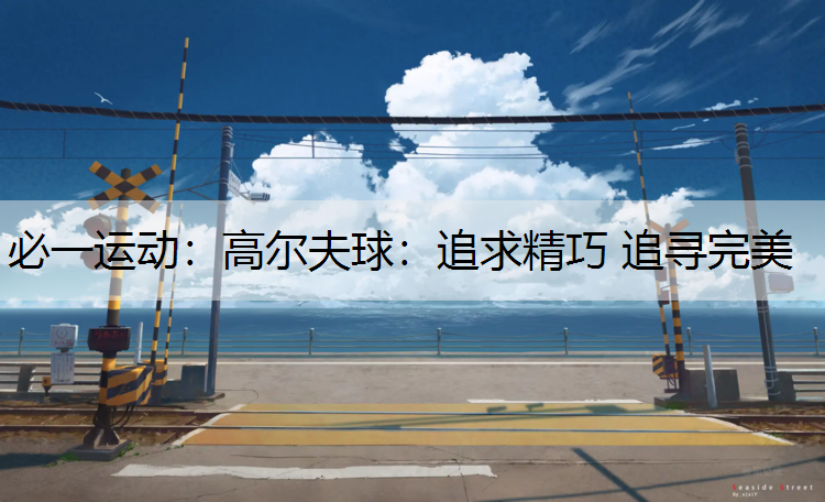 高尔夫球：追求精巧 追寻完美