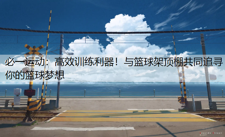 高效训练利器！与篮球架顶棚共同追寻你的篮球梦想