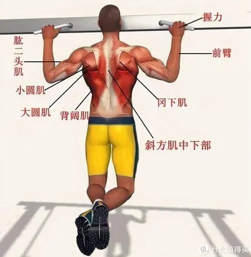 一共有多少块乒乓球台