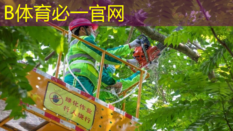 网球拍初学者单人套装训练