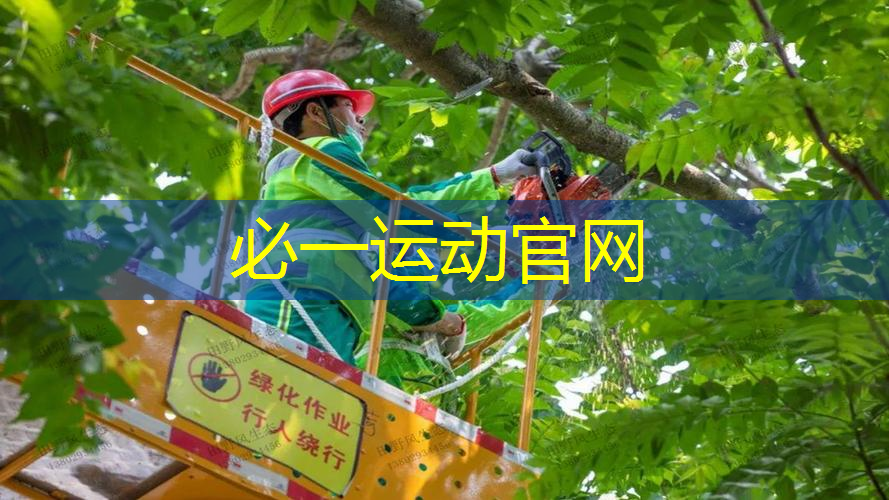 网球拍怎么打磨平整球头