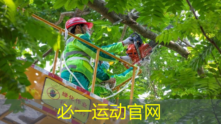 家里网球拍怎样放置好一点