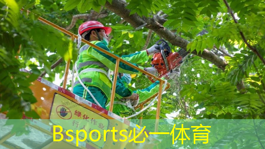 新款威尔逊网球拍小黑拍