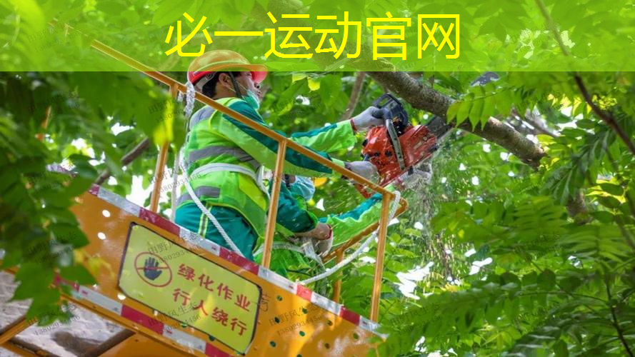 室内男性健身计划