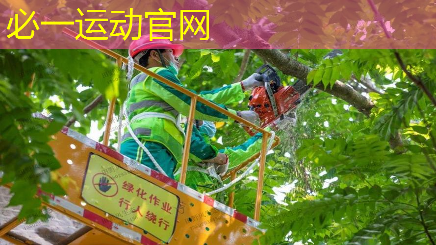 乒乓球台有效部位