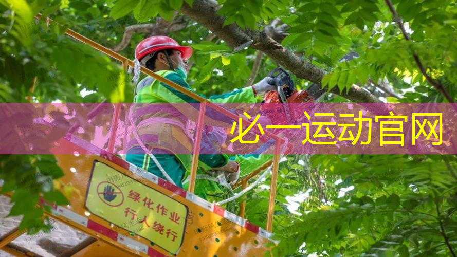 碾压对手，夺得冠军：塑胶跑道材料让你无往不利！